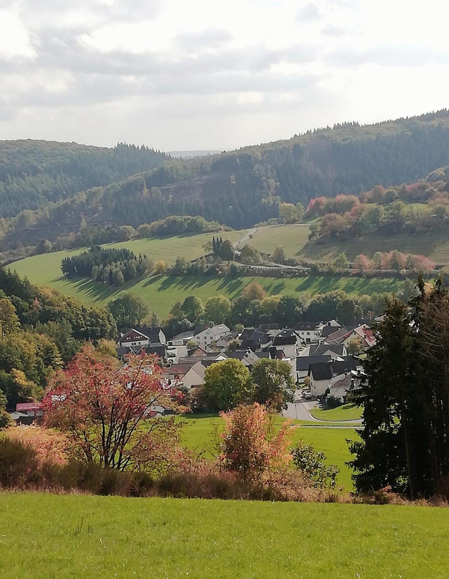 Am Lindenbaum, Ferienwohnung In Siebenbach Am Nuerburgring מראה חיצוני תמונה